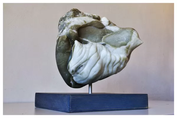Les lèvres de Sukie (30x29x24 - 10 kg)
